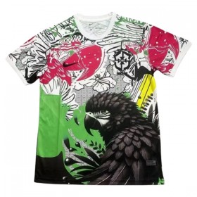 Brazílie x Parrot 2025 - Fotbalové Dresy (S/S)