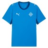 Island Domácí MS 2026 - Fotbalové Dresy (S/S)