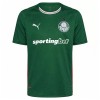 Palmeiras Domácí 2026-27 - Fotbalové Dresy (S/S)