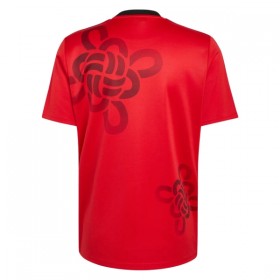 Manchester United Cultural Story 2025-26 - Fotbalové Dresy (S/S)