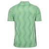 AS Saint-Etienne Alternativní 2026-27 - Fotbalové Dresy (S/S)