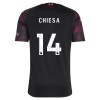Liverpool Chiesa 14 Alternativní 2026-27 - Fotbalové Dresy (S/S) Liverpool Chiesa 14 Alternativní 2026-27 - Fotbalové Dresy (S/S)